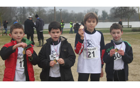 Départementaux de Cross à Aigrefeuille