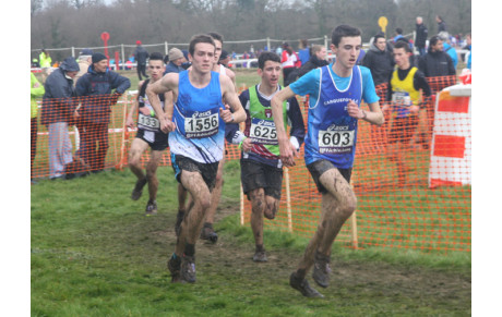 France de cross: résultats